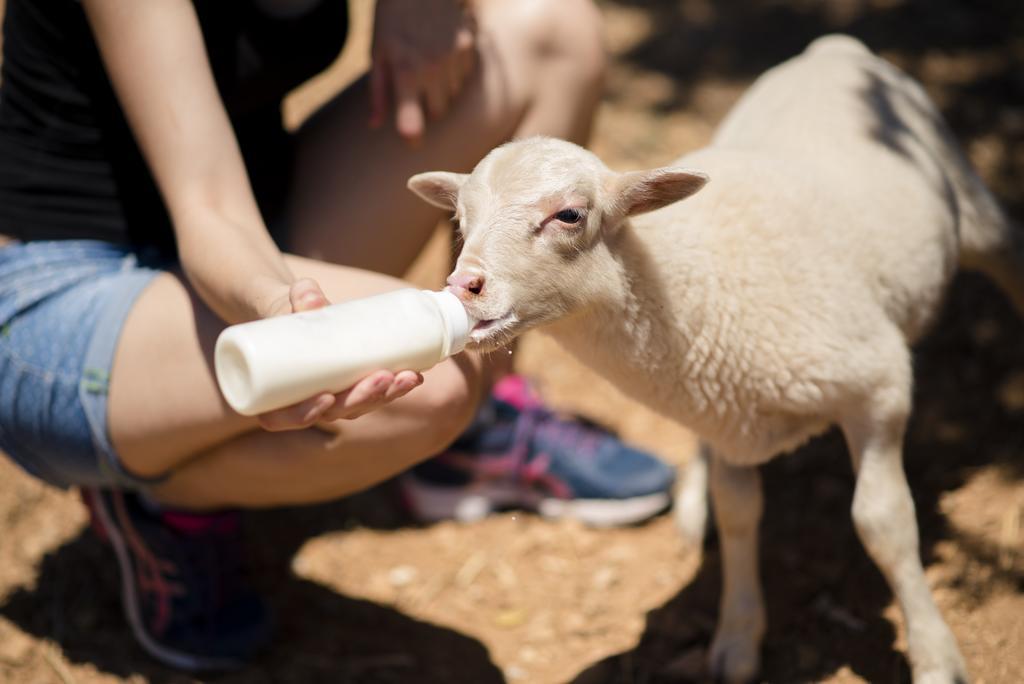 Alquería Blanca Agroturismo Sa Marina מראה חיצוני תמונה